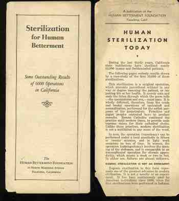 Blog1sept_10_sterilization538