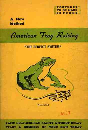 Blog1sept_16_frogs554_2