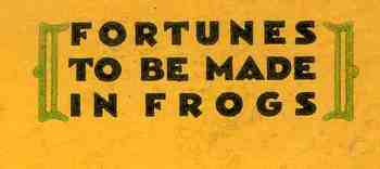 Blog1sept_16_frogs_detail555