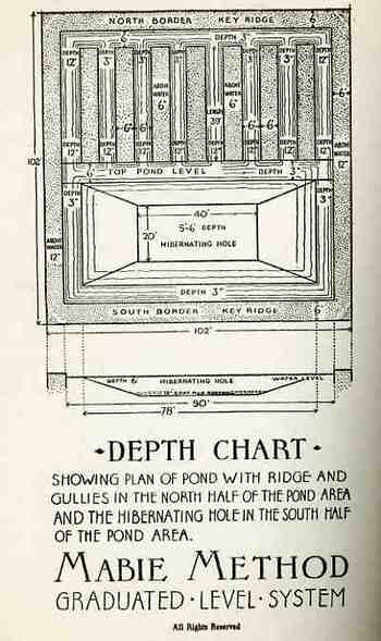 Blog1sept_16_frogs_map556