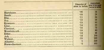 Blog1sept_17_twig576